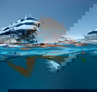 3 Day Great Barrier Reef Daintree Rainforest and Outback Chillagoe Tour - Kalgoorlie Accommodation