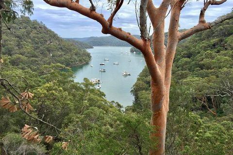 Shore Excursion: Sydney's Northern Beaches & Ku-ring-gai National Park Bus Tour - Kalgoorlie Accommodation 1