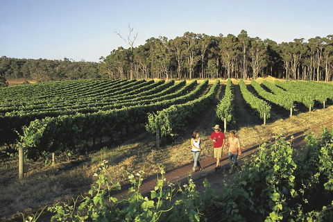 Margaret River, Caves, Wine And Cape Leeuwin Lighthouse Tour From Perth - Kalgoorlie Accommodation 1