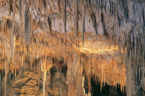 Margaret River, Caves, Wine And Cape Leeuwin Lighthouse Tour From Perth - Kalgoorlie Accommodation 3