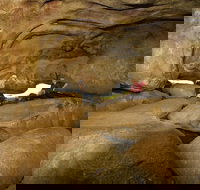 2-Day Wave Rock York Wildflowers  Aboriginal Experience - Kalgoorlie Accommodation