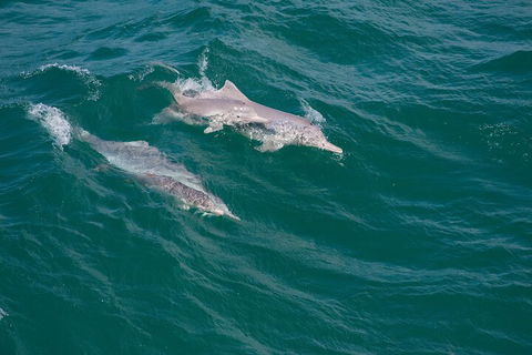 North Stradbroke Island Private Tour With Pickup - Kalgoorlie Accommodation 0
