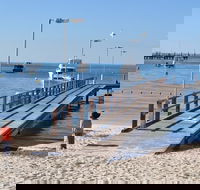 Monkey Mia Dolphins  Shark Bay Air Tour From Perth - Kalgoorlie Accommodation