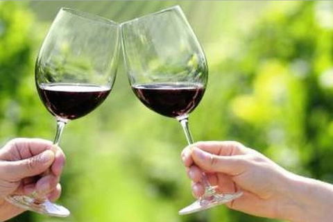 Yarra Valley Premium Tour Inc Lunch And Cheese And Wine Pairing At De Bortoli - Kalgoorlie Accommodation 5