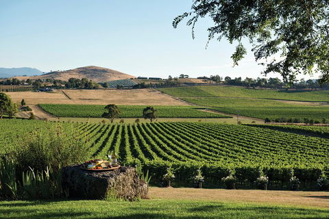Yarra Valley Premium Tour Inc Lunch And Cheese, Chocolate Fondue At Rochford - Kalgoorlie Accommodation 1