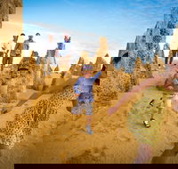 Full-Day Pinnacles Desert and Yanchep National Park Tour From Perth - Kalgoorlie Accommodation