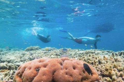 Great Barrier Reef Day Cruise To Reefworld - Kalgoorlie Accommodation 1