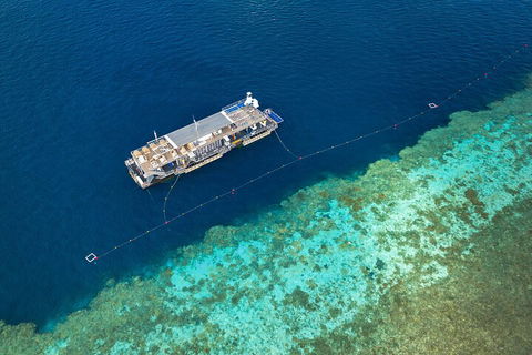 Great Barrier Reef Day Cruise To Reefworld - Kalgoorlie Accommodation 2