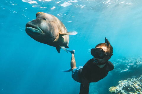 Great Barrier Reef Day Cruise To Reefworld - Kalgoorlie Accommodation 3