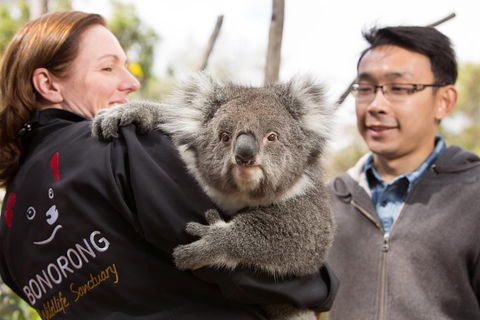 Bonorong Wildlife Park And Richmond Afternoon Tour From Hobart - Kalgoorlie Accommodation 0