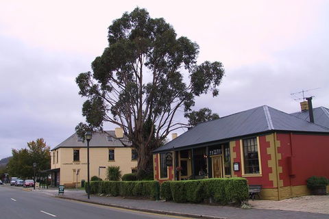 Bonorong Wildlife Park And Richmond Afternoon Tour From Hobart - Kalgoorlie Accommodation 3