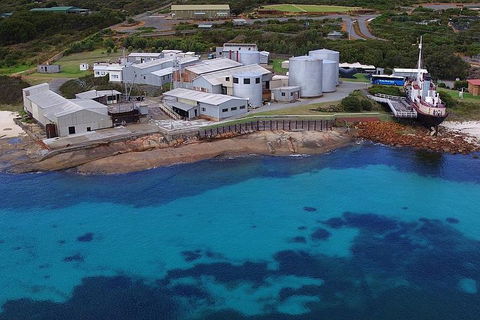 Albany's Whale Story - Kalgoorlie Accommodation 4