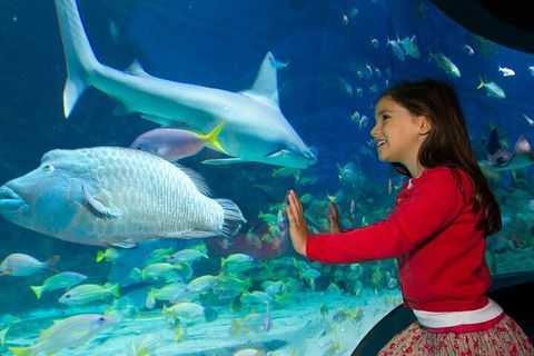 Melbourne BIG Ticket - LEGOLAND Discovery And SEA LIFE Melbourne - Kalgoorlie Accommodation 1