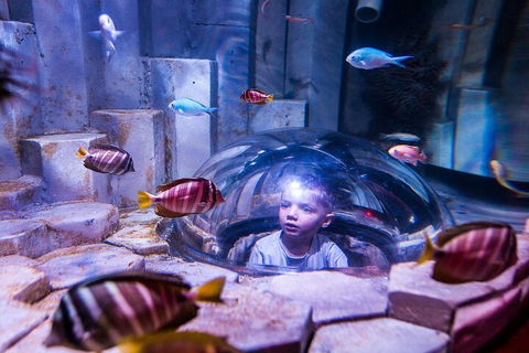 Melbourne BIG Ticket - LEGOLAND Discovery And SEA LIFE Melbourne - Kalgoorlie Accommodation 5