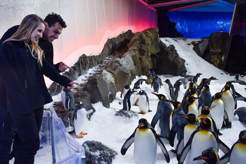 Penguin Passport At SEA LIFE Melbourne Aquarium - Kalgoorlie Accommodation 0