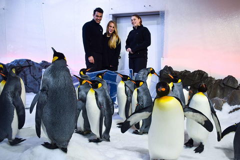Penguin Passport At SEA LIFE Melbourne Aquarium - Kalgoorlie Accommodation 4
