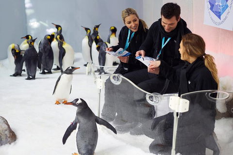 Penguin Passport At SEA LIFE Melbourne Aquarium - Kalgoorlie Accommodation 5