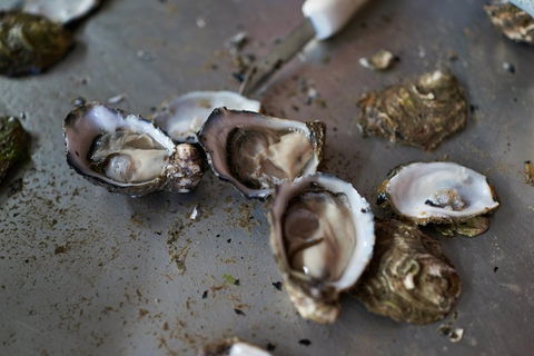 Fine Flavours - Full Day Kangaroo Island Food & Wine Tour - Kalgoorlie Accommodation 2
