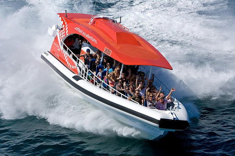 Adventure Rottnest Tour With Ferry & Adventure Cruise From Perth Or Fremantle - Kalgoorlie Accommodation 2