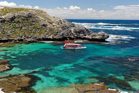 Adventure Rottnest Tour With Ferry & Adventure Cruise From Perth Or Fremantle - Kalgoorlie Accommodation 5