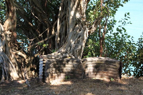 Darwin Walking Tour: World War II Reflections - Kalgoorlie Accommodation 3