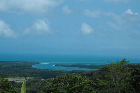 Cape Tribulation, Daintree Rainforest And Wildlife Tour - Kalgoorlie Accommodation 1