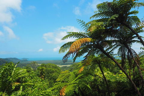 Cape Tribulation, Daintree Rainforest And Wildlife Tour - Kalgoorlie Accommodation 3