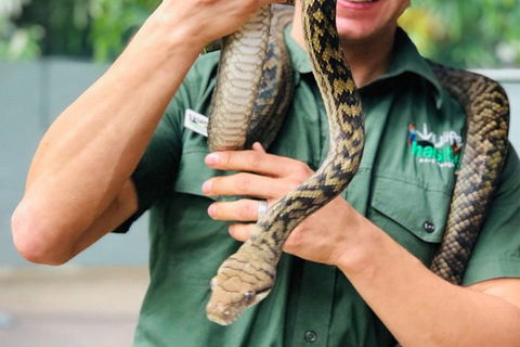 Virtual Interactive Australian Wildlife Tour With Private Guide-Wildlife Habitat - Kalgoorlie Accommodation 1