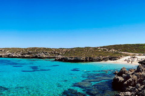 Rottnest Island Roundtrip Fast Ferry From Hillarys Boat Harbour - Kalgoorlie Accommodation 4