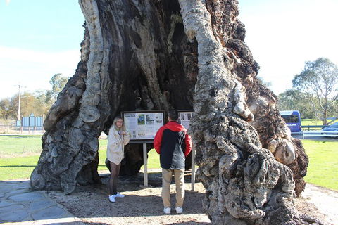 Barossa And Hahndorf Day Trip From Adelaide Including Wine Tasting And Lunch - Kalgoorlie Accommodation 1