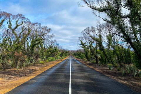2 Day Ultimate Kangaroo Island With Return Ferry - Kalgoorlie Accommodation 4