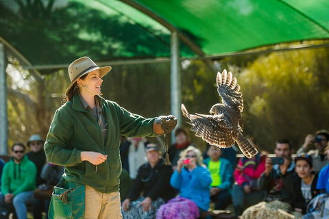 Full Day Kangaroo Island Sip And See Tour Departing From Kangaroo Island - Kalgoorlie Accommodation 1