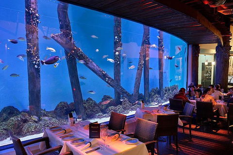 Cairns Aquarium And Small Group City Sightseeing Tour - Kalgoorlie Accommodation 4