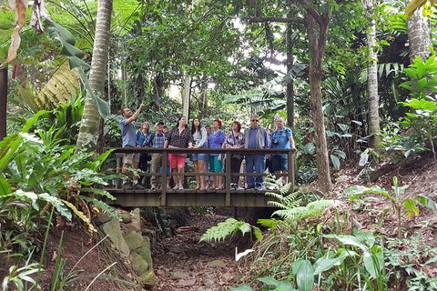 Cairns Shore Excursion: Cairns City Sights & Surrounds Tour - Kalgoorlie Accommodation 1