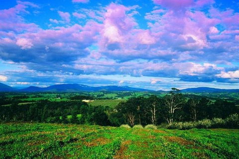 CHEVY CONVERTIBLE Package For 4 -Wine Lunch Cheese & Chocolate From Yarra Valley - Kalgoorlie Accommodation 4