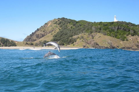 Kayaking With Dolphins In Byron Bay Guided Tour - Kalgoorlie Accommodation 0