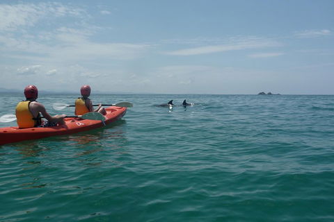 Kayaking With Dolphins In Byron Bay Guided Tour - Kalgoorlie Accommodation 4