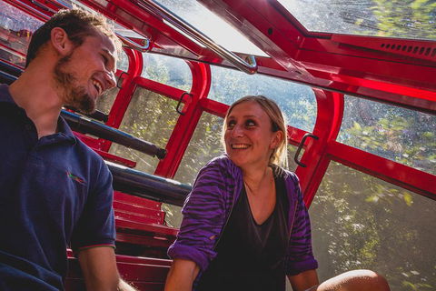 Blue Mountains Hop-on Hop-off Tour With Optional Scenic World Rides - Kalgoorlie Accommodation 5