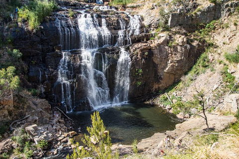 Great Ocean Road Grampians 3 Day National Park Tour Melbourne Roundtrip - Kalgoorlie Accommodation 2