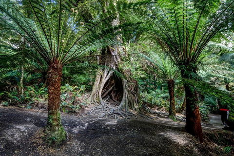 Adelaide To Melbourne 3-Day Trip Through Grampians And Great Ocean Road - Kalgoorlie Accommodation 0