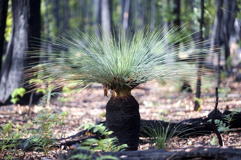 Adelaide To Melbourne 3-Day Trip Through Grampians And Great Ocean Road - Kalgoorlie Accommodation 4