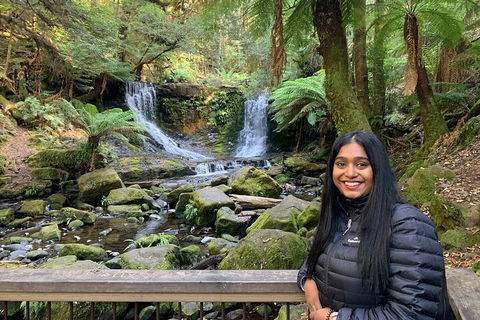 Day Tour In Mt. Field, Mt. Wellington, Bonorong Wildlife Sanctuary And Richmond - Kalgoorlie Accommodation 5