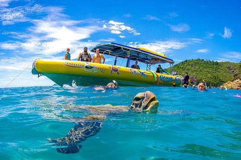 Great Barrier Reef Scenic Flight And Ocean Rafting Whitehaven Beach Day Trip - Kalgoorlie Accommodation 1