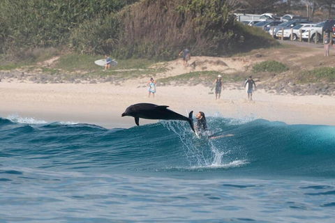 Cruise With Dolphins In Byron Bay - Kalgoorlie Accommodation 3