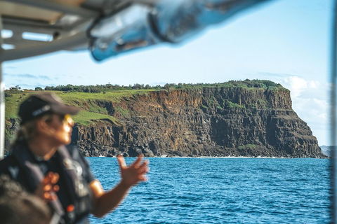 Cruise With Dolphins In Byron Bay - Kalgoorlie Accommodation 4