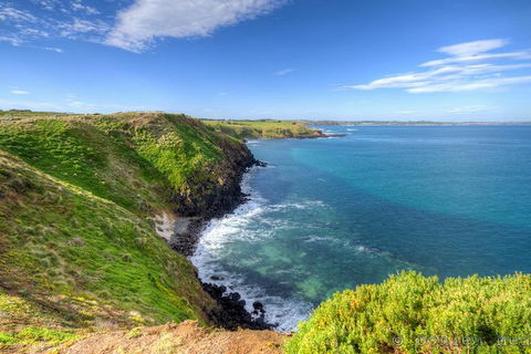 Phillip Island Penguin And Koala Highlights Day-Trip From Melbourne - Kalgoorlie Accommodation 5