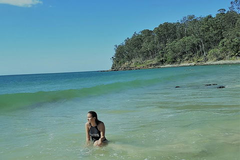 Noosa And Sunshine Coast Hinterland Day Trip From Brisbane - Kalgoorlie Accommodation 4