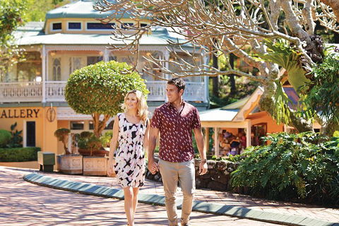 Sunshine Coast Hinterland Rainforest, Views And Montville Day Tour Inc. Lunch - Kalgoorlie Accommodation 4