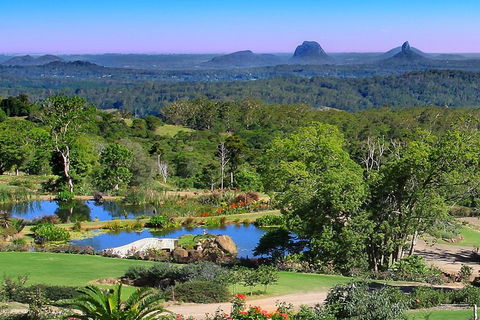 Sunshine Coast Hinterland Rainforest, Views And Montville Day Tour Inc. Lunch - Kalgoorlie Accommodation 5