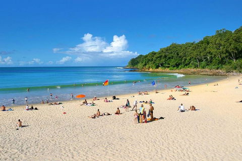 Noosa Everglades Serenity Cruise & Highlights Tour Inc. Lunch & Cruise - Kalgoorlie Accommodation 4